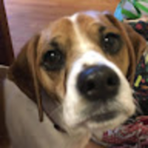runymaude